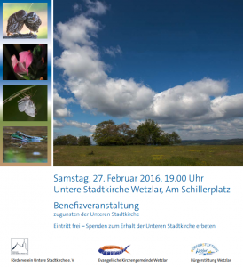 2016-02-27 Plakat Weinberg